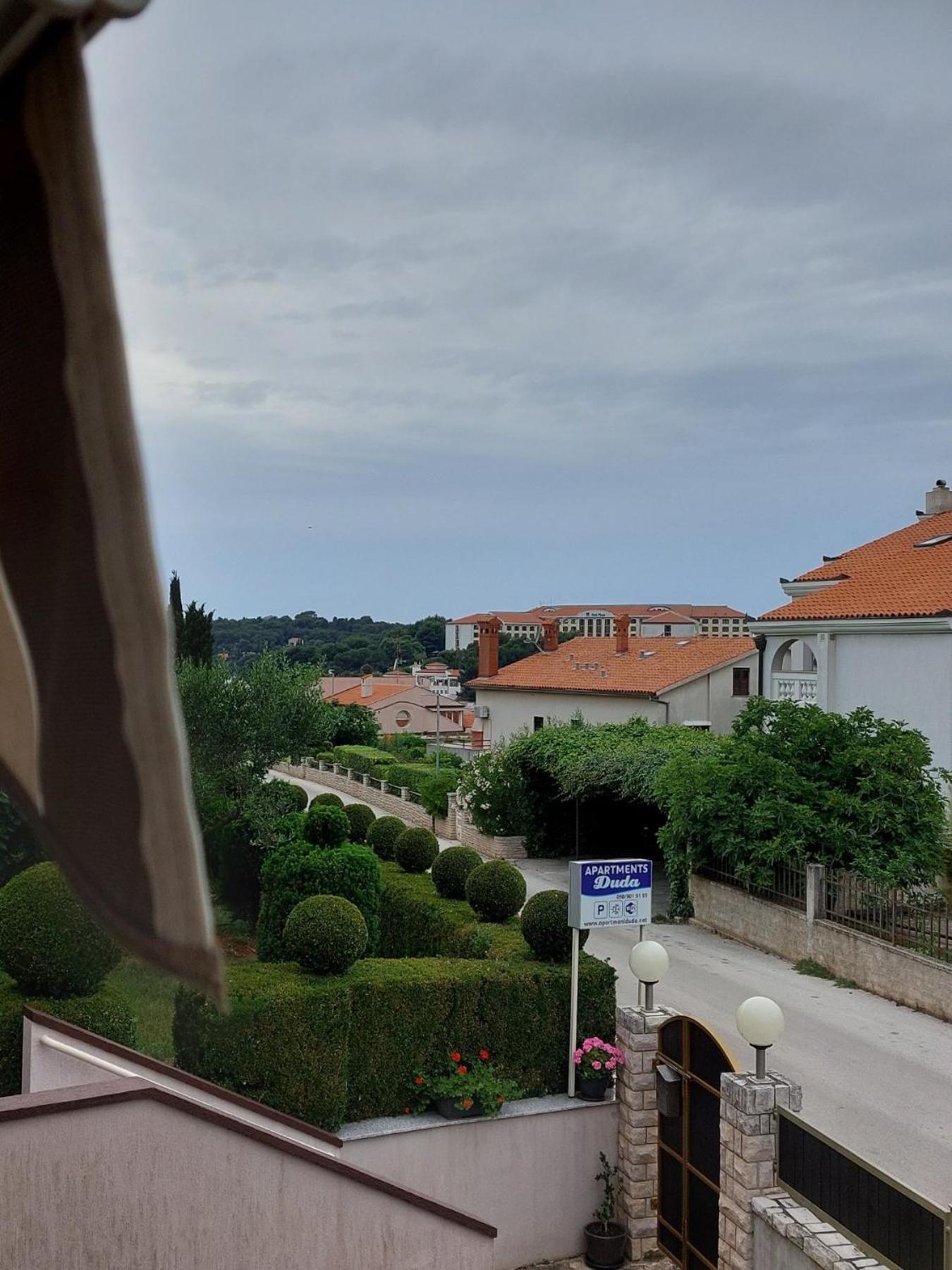 Duda * Pula