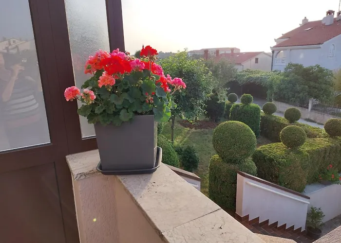 Apartments Duda